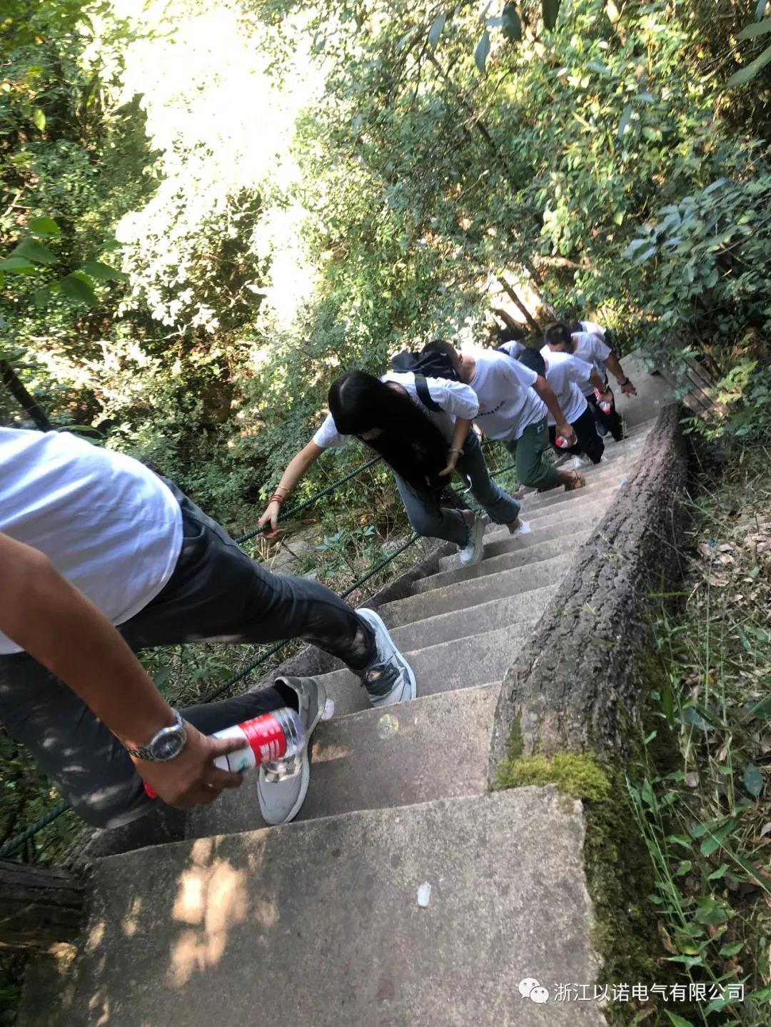 香港精准特网